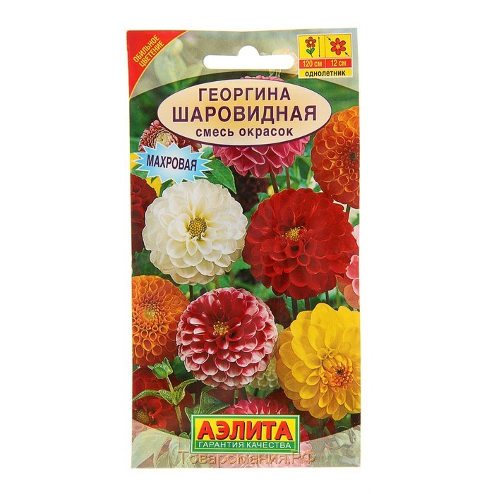Семена  цветов Георгина "Шаровидная", смесь окрасок, О, 0,2 г