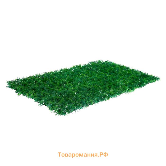 Декоративная панель, 60 × 40 см, «Аспарагус», Greengo