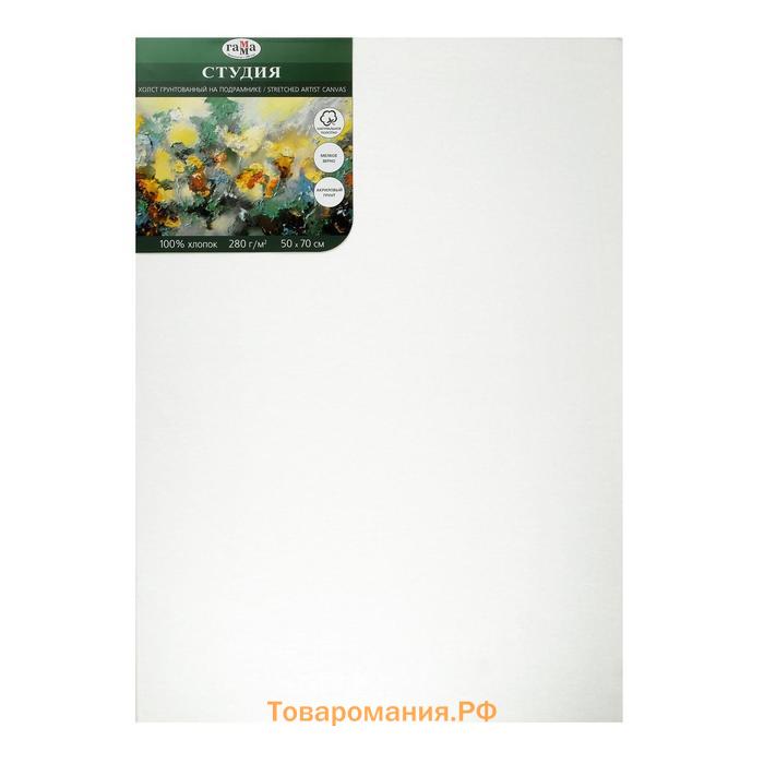 Холст на подрамнике, хлопок 100%, 50 х 70 х 1.8 см, акриловый грунт, мелкозернистый, 280 г/м2, "Студия"