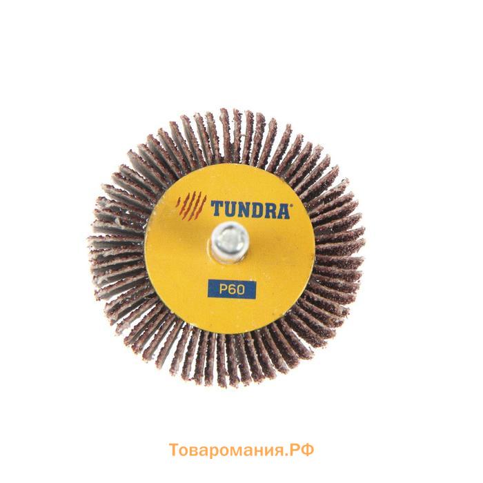 Круг лепестковый радиальный ТУНДРА, 50 х 30 х 6 мм, Р60