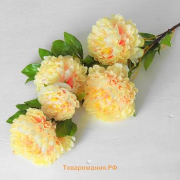 Цветы искусственные «Пион кустовой», 5 бутонов, 15×110 см, кремовые