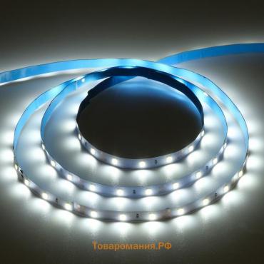 Светодиодная лента Ecola PRO 5 м, IP20, SMD3528, 60 LED/м, 4.8 Вт/м, 12 В, 6000К